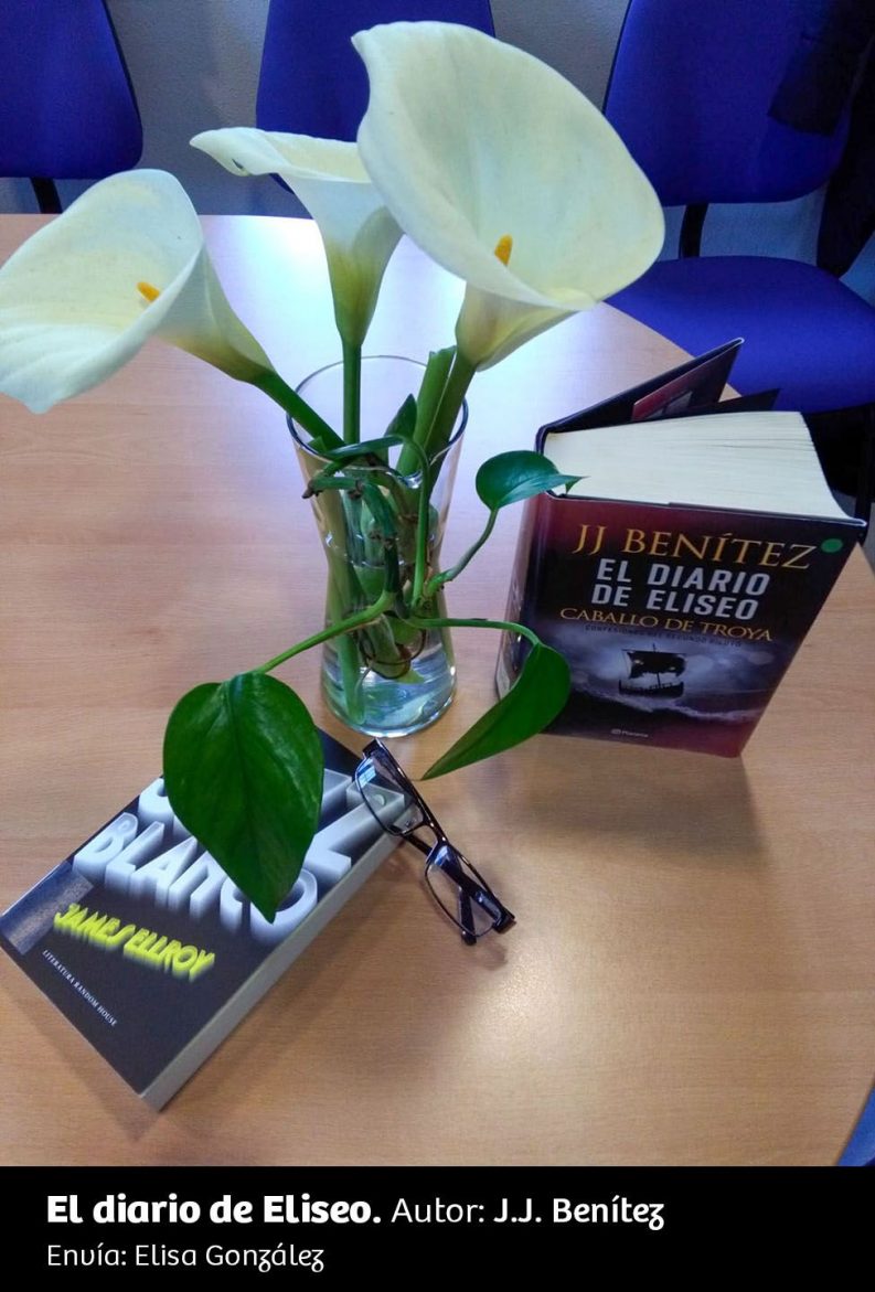 UN RINCÓN, UNA LECTURA 08 El Diario De Eliseo