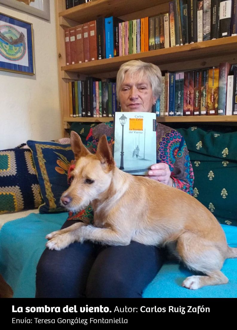 UN RINCÓN, UNA LECTURA 10 La Sombra Del Viento