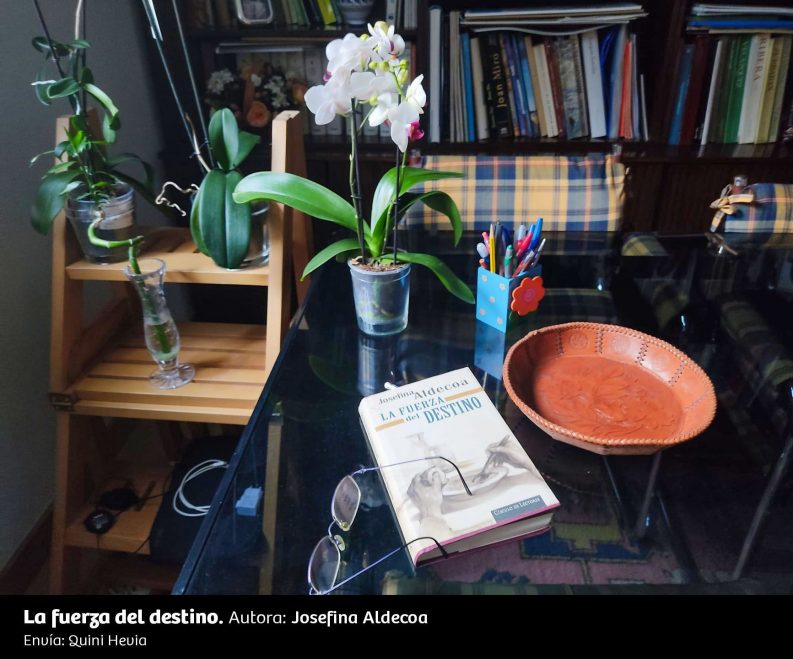 UN RINCÓN, UNA LECTURA 11 La Fuerza Del Destino