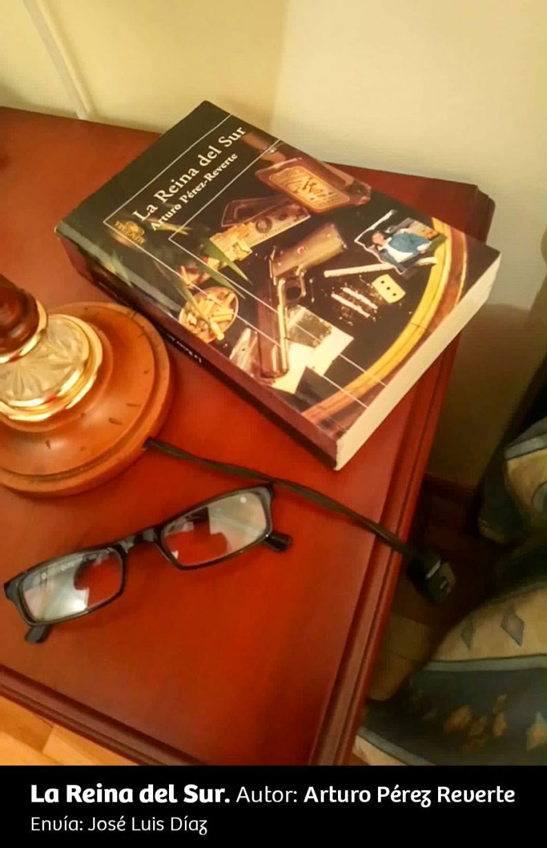 UN RINCÓN, UNA LECTURA 14 La Reina Del Sur