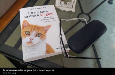 UN RINCÓN, UNA LECTURA 15 En Mi Casa No Entra Un Gato