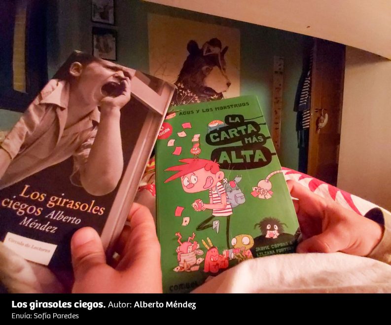 UN RINCÓN, UNA LECTURA 26 Los Girasoles Ciegos