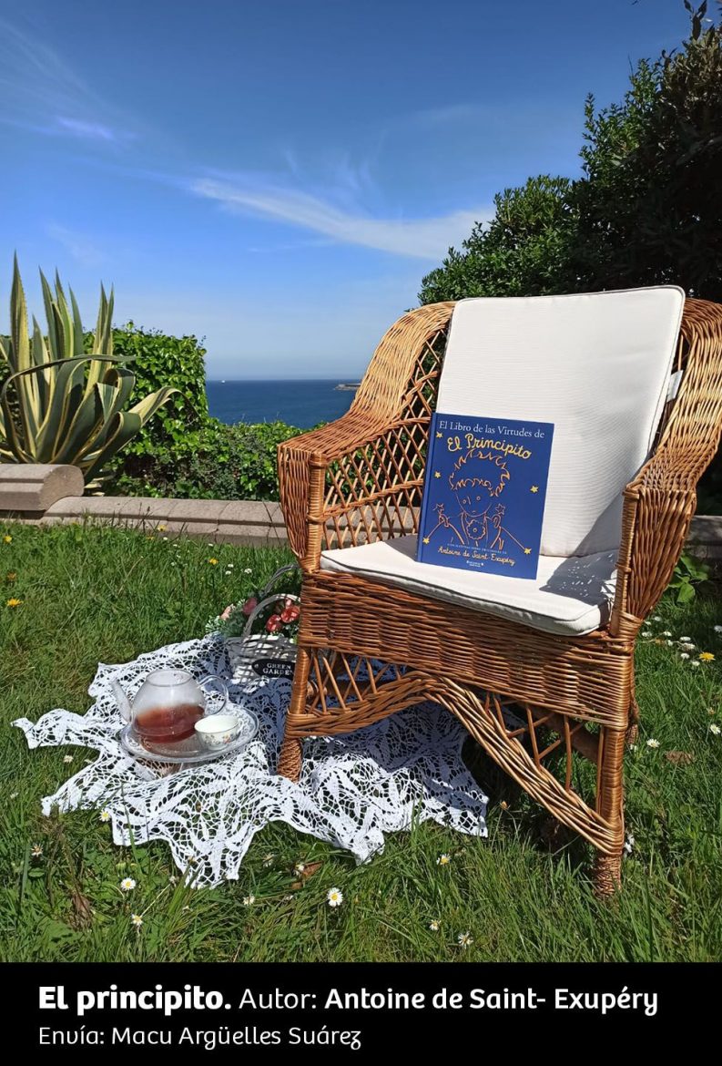 UN RINCÓN, UNA LECTURA 33 El Principito