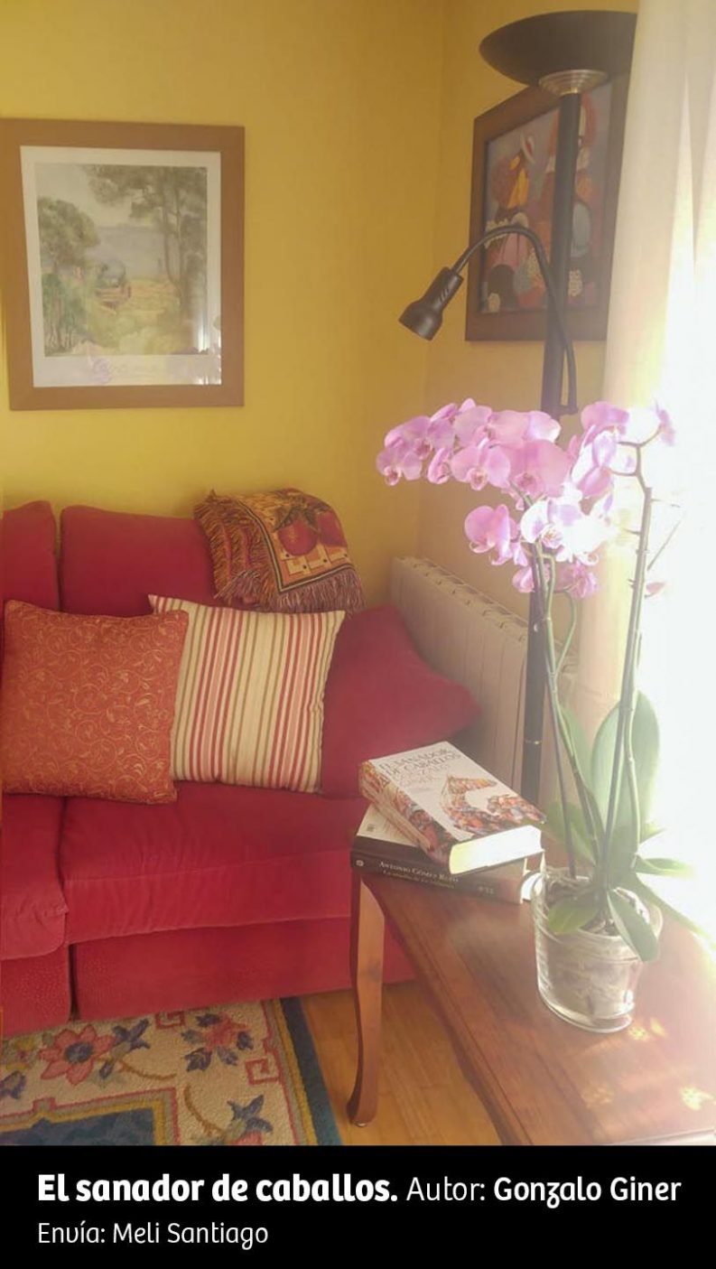 UN RINCÓN, UNA LECTURA 35 El Sanador De Caballos