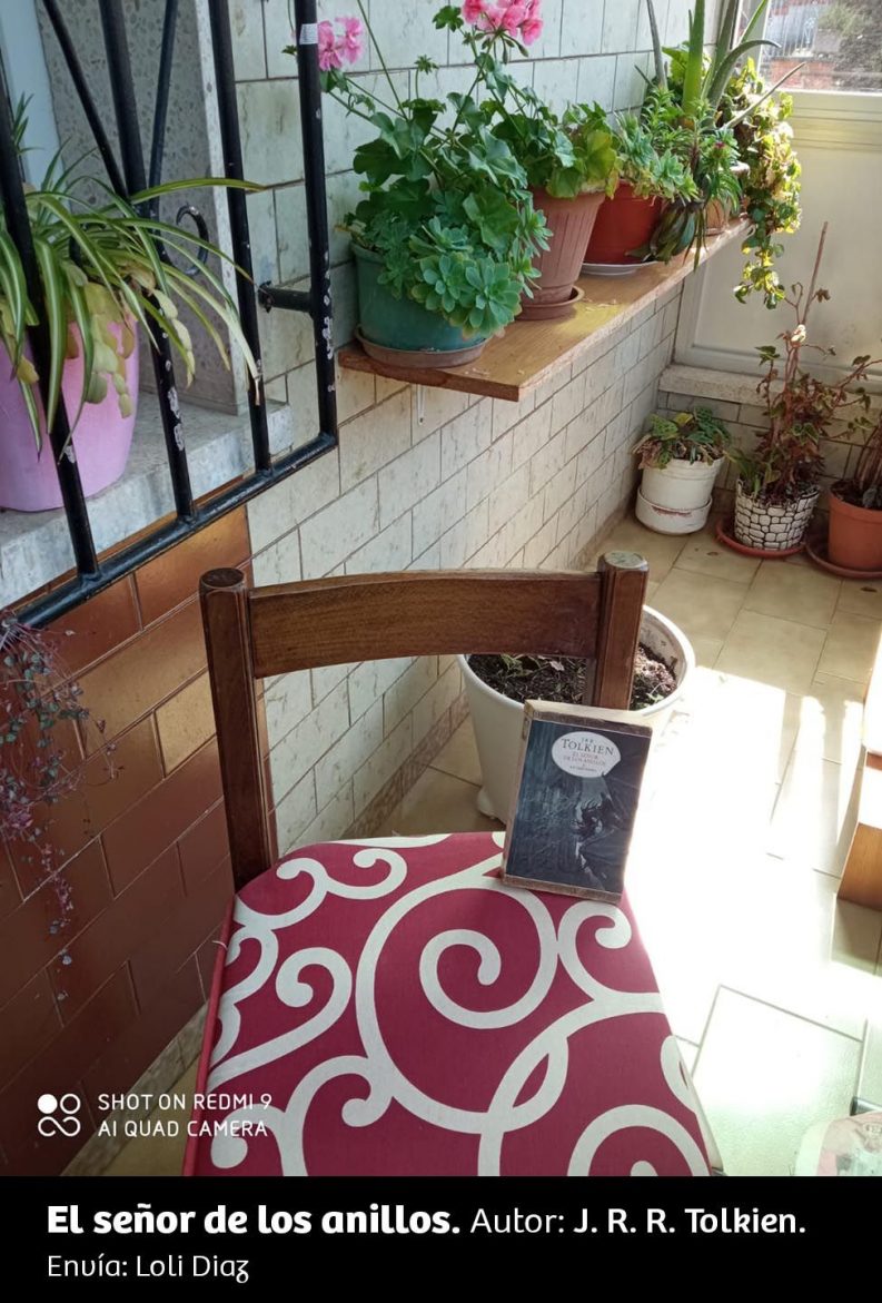 UN RINCÓN, UNA LECTURA 36 El Señor De Los Anillos