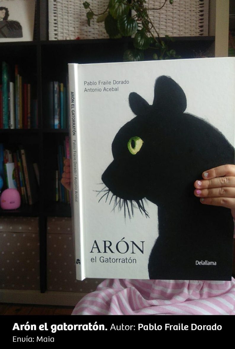 UN RINCÓN, UNA LECTURA 39 Arón El Gatorratón