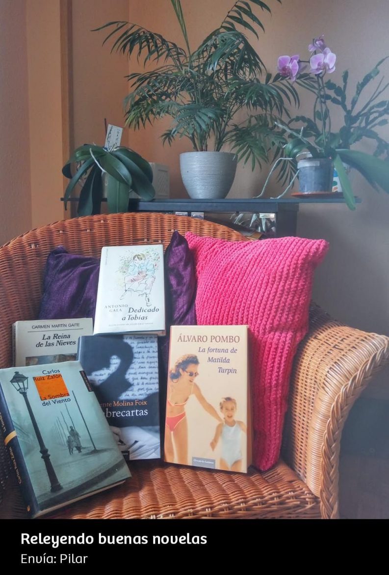 UN RINCÓN, UNA LECTURA 42 Releyendo Buenas Novelas