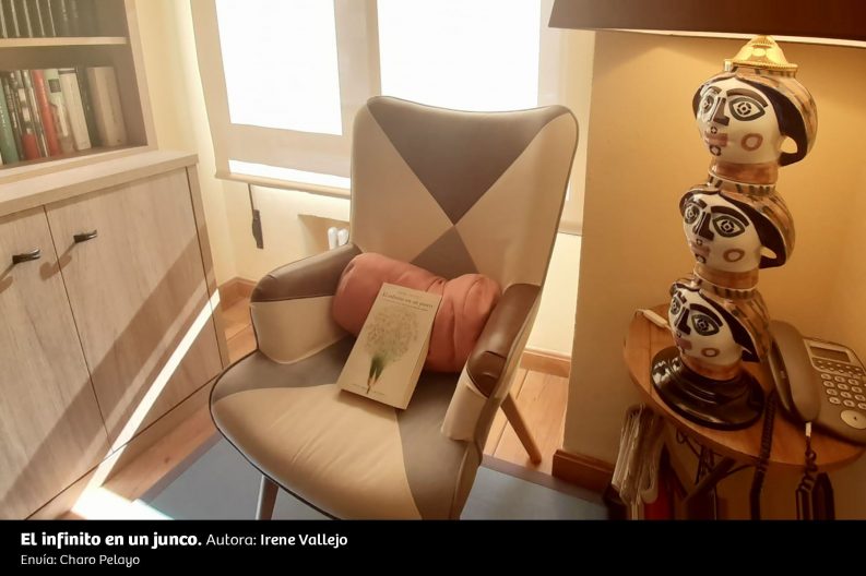 UN RINCÓN, UNA LECTURA 51 El Infinito En Un Junco