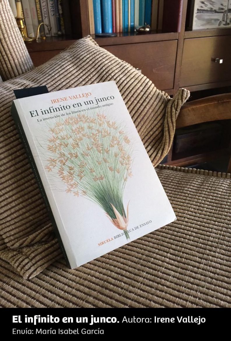 UN RINCÓN, UNA LECTURA 80 El Infinito En Un Junco