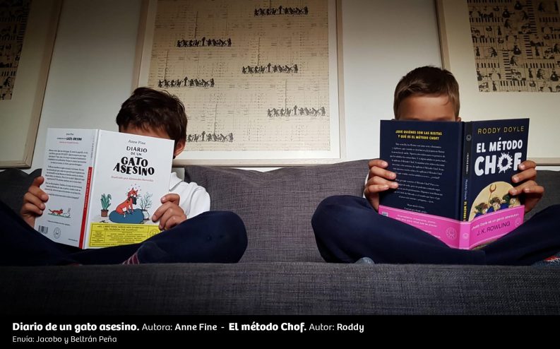 UN RINCÓN, UNA LECTURA 91 Diario De Un Gato Asesino