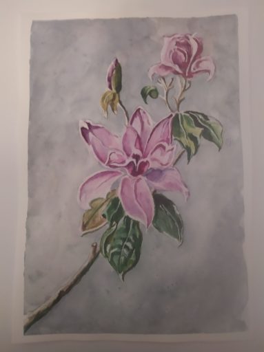 Flor del Magnolio