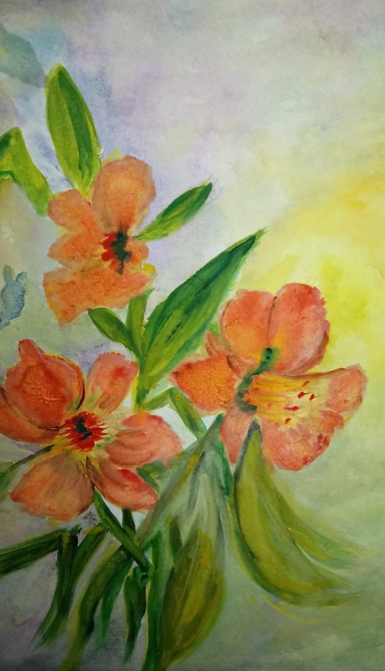 Flores buscando el sol