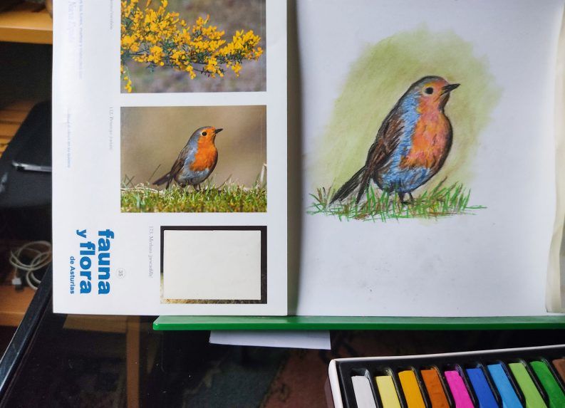 Taller de Dibujo-2021-Pajarin