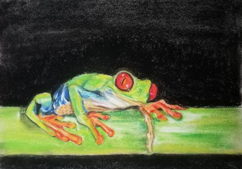 Taller de Dibujo-2021-Xaronca