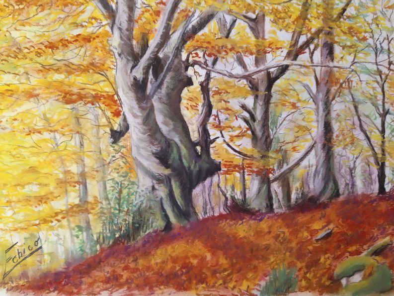 Taller de Dibujo-2021-otoño