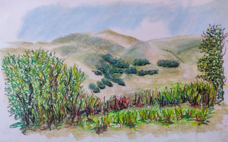 Taller de Dibujo-2021-paisaje