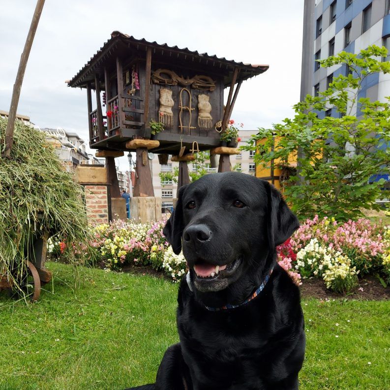 05 Samlasocia en la Feria de la Ascensión 2021