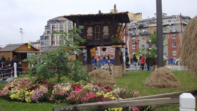 11 Un Orio en la Losa