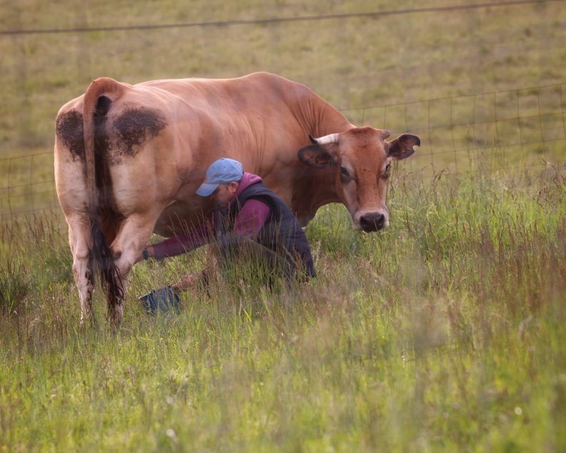 44 Trabajo en el campo