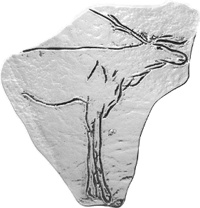 Ciervo – Arte paleolítico en Asturias