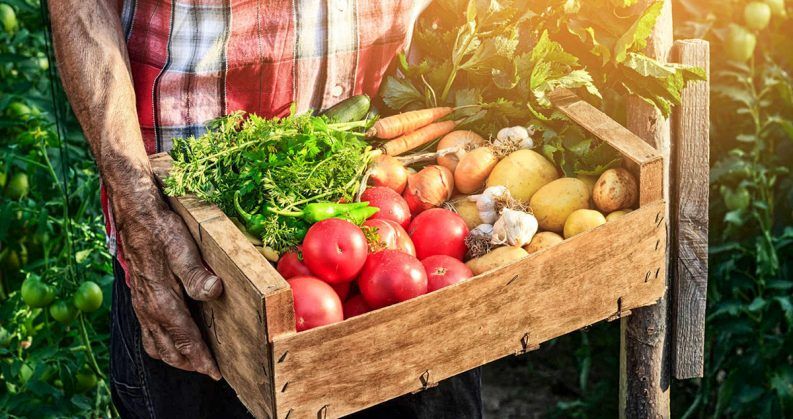 Productos de proximidad y por qué consumirlos-post
