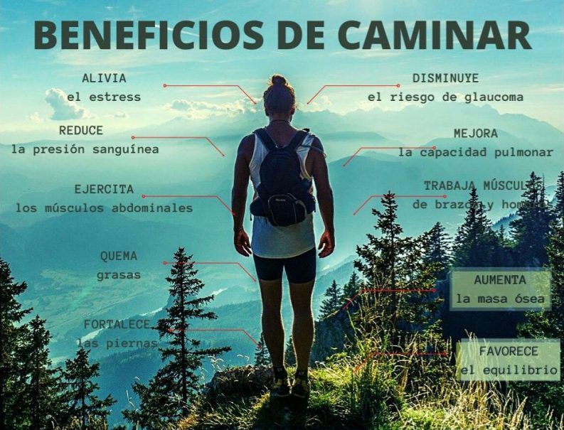 AUMENTE la masa ósea