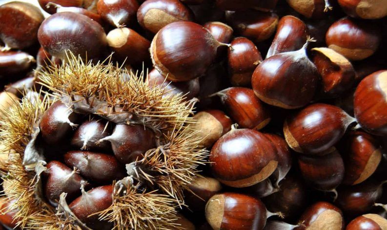 Castañas, o en bable "les castañes"