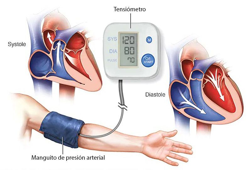 Controla tu presión arterial-SISTOLE y DIASTOLE