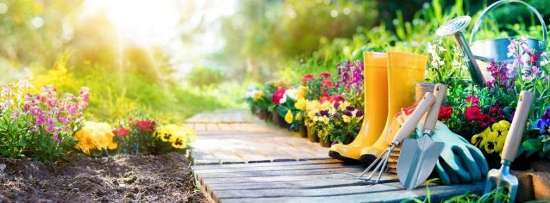 Descubre el jardinero que hay en ti-post