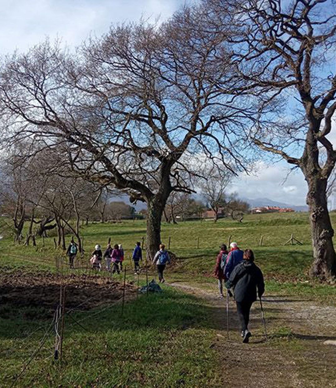 RUTA Ayuntamiento de Oviedo – Ermita Covadonga – Parque de Invierno