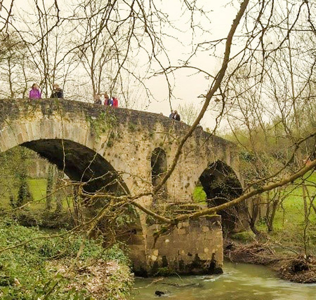 RUTA Senda del Nora – Colloto