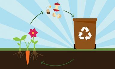 RECICLADO ORGÁNICO-post