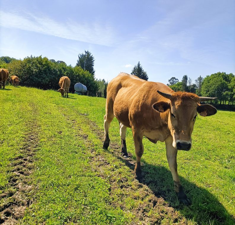 10 HOLA¿QUÉ HACES POR AQUÍ 