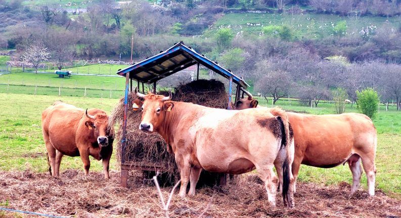 23 COMO ANTES, COMO SIEMPRE