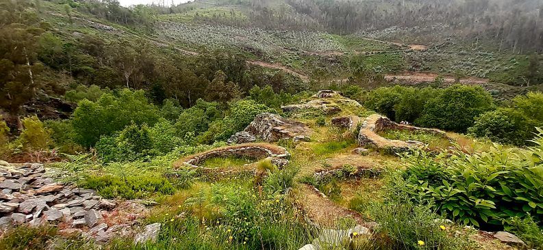 26 RESTOS DEL PASADO (CASTRO DE PENDIA)