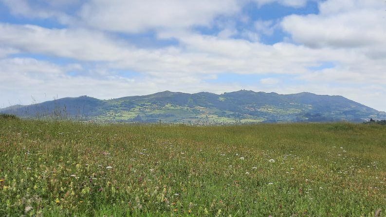 28 CAMIN DE OVIEU PA L'ASCENSIÓN