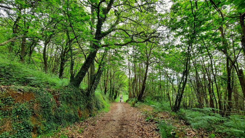 29 DE SOGRANDIO CAMIN DE OVIEU PA L'ASCENSIÓN