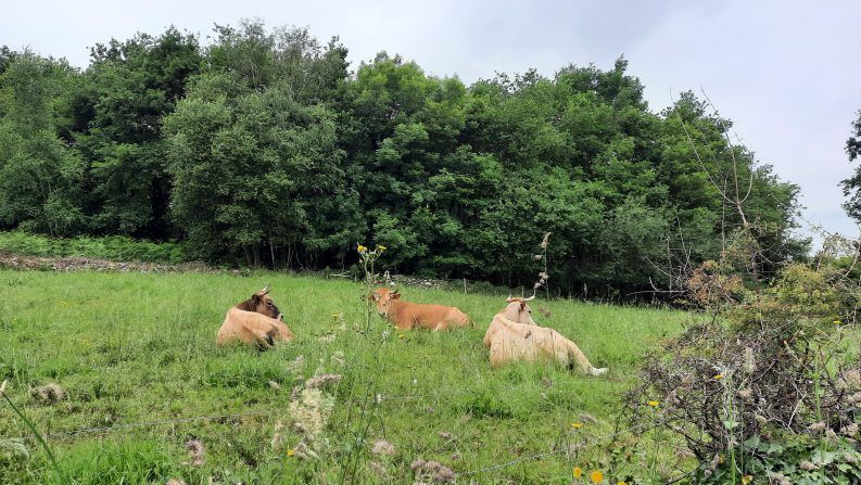 30 ANTES DE FERIAR DESCANSAR