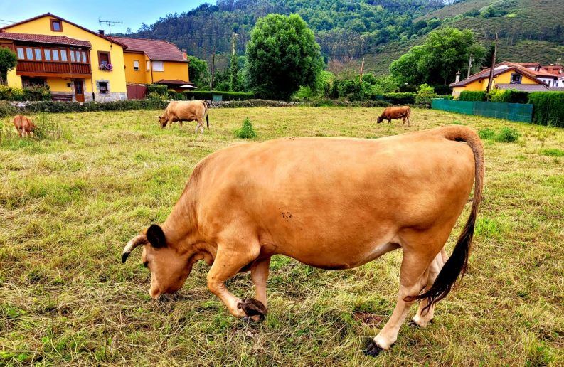 48 PACIENDO SIN PARAR