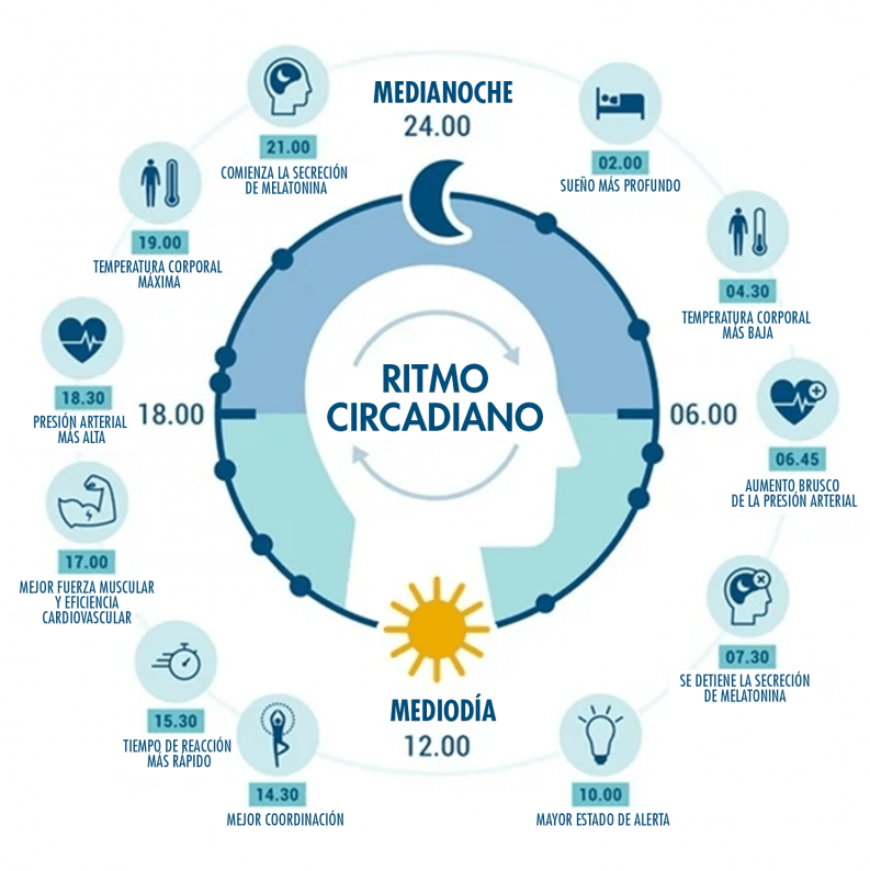 Ritmo circadiano y ciclo sueño-vigilia