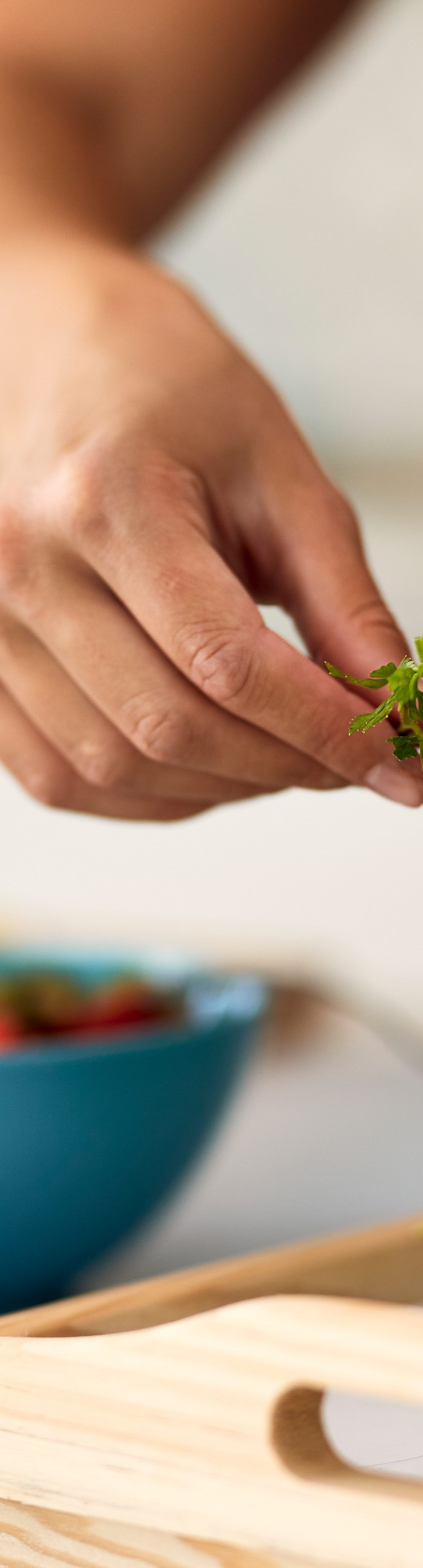 Menú vegetariano rico y sano