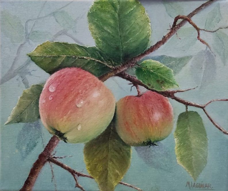 8 Una luz cuatro miradas