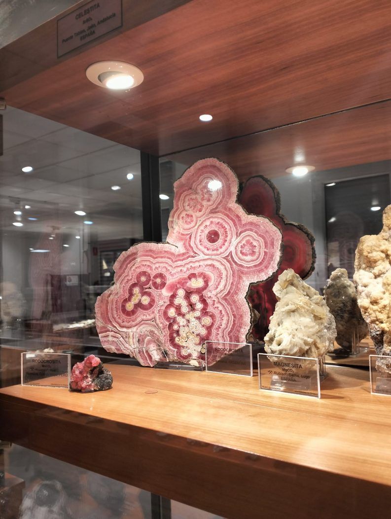 MUSEO DE GEOLOGíA Y JARDíN GEOLÓGICO-002