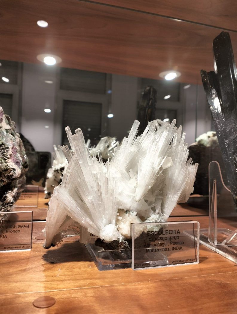 MUSEO DE GEOLOGíA Y JARDíN GEOLÓGICO-003