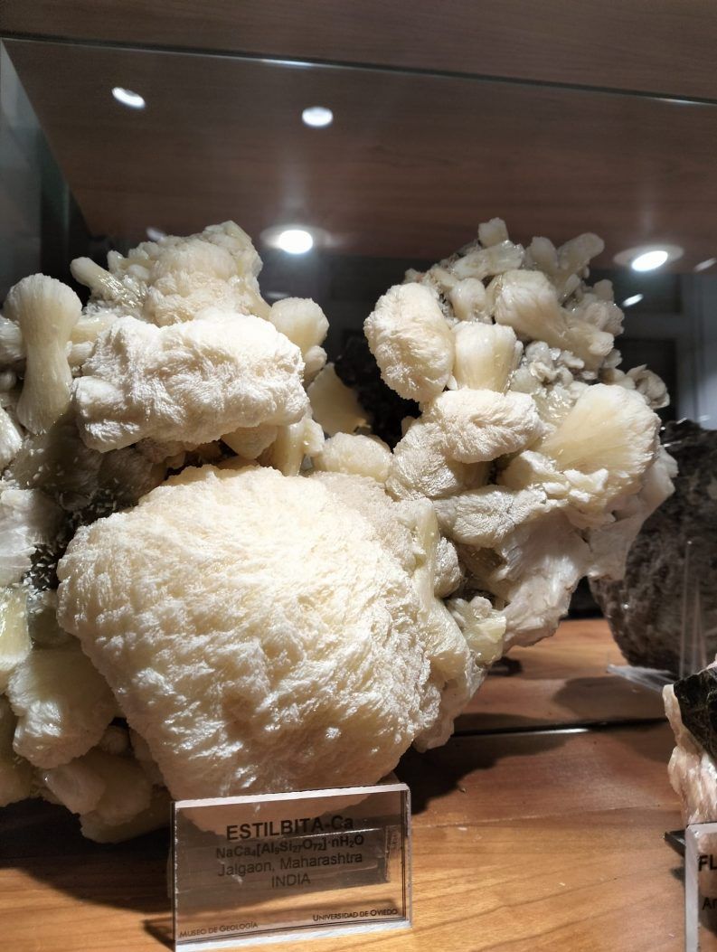 MUSEO DE GEOLOGíA Y JARDíN GEOLÓGICO-004