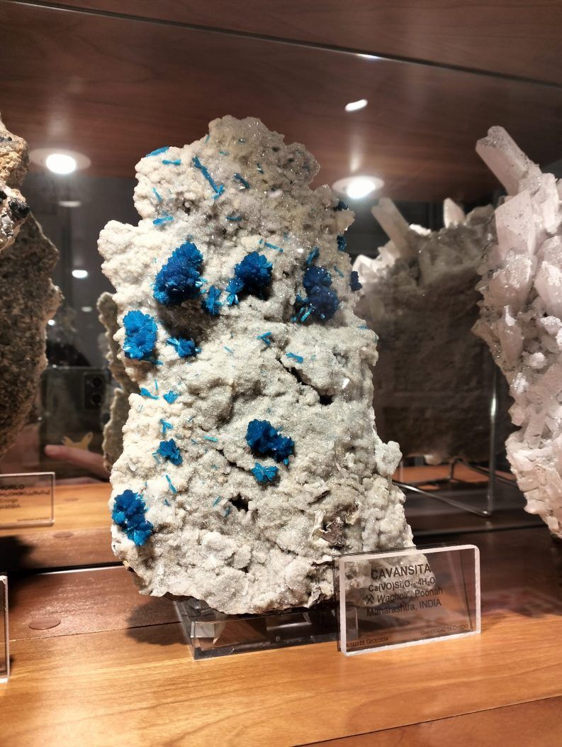 MUSEO DE GEOLOGíA Y JARDíN GEOLÓGICO-005